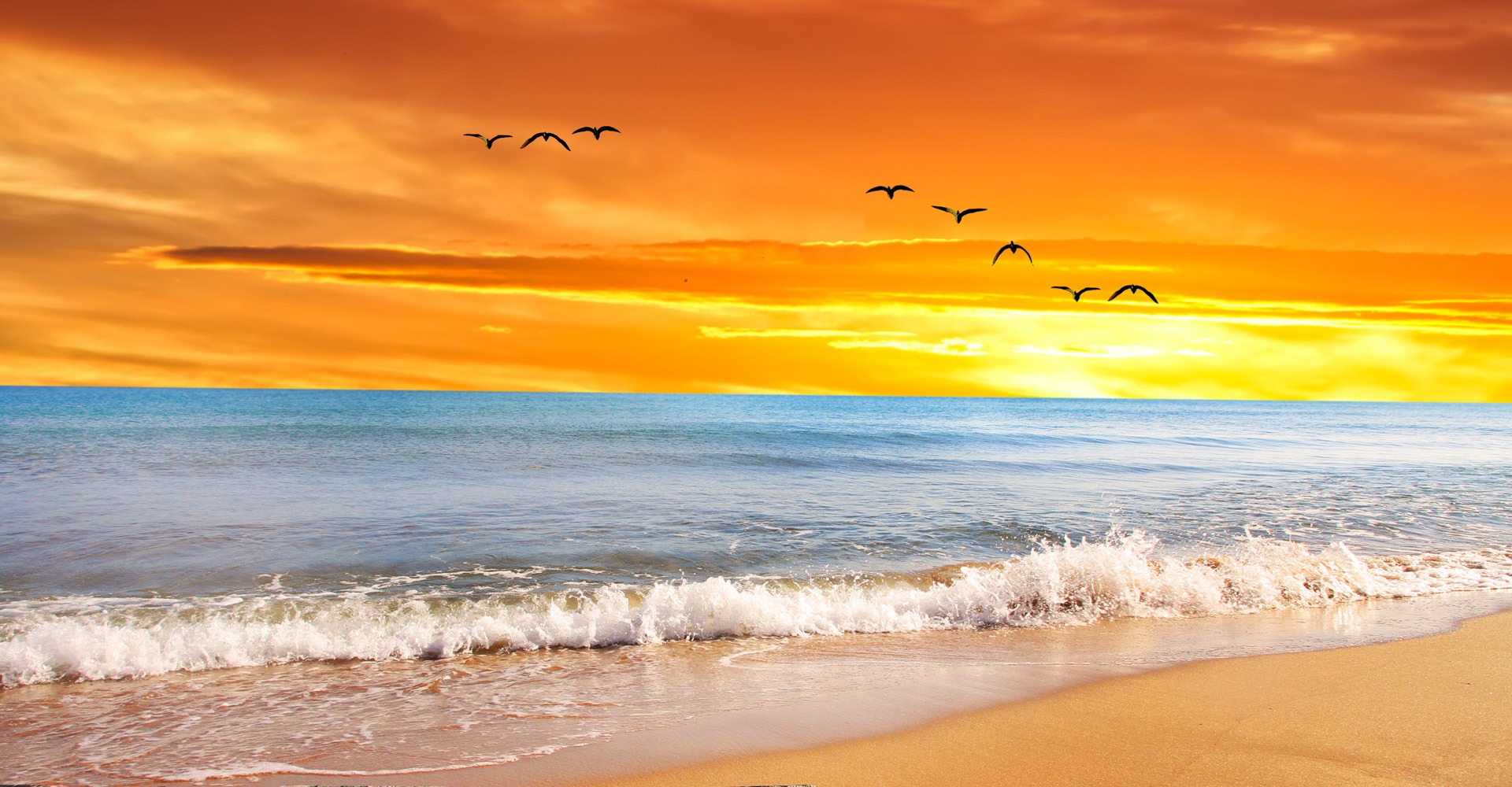 hero vbbound 1920x1000 03 beachrentalvirginia